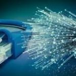 fibre 300x156